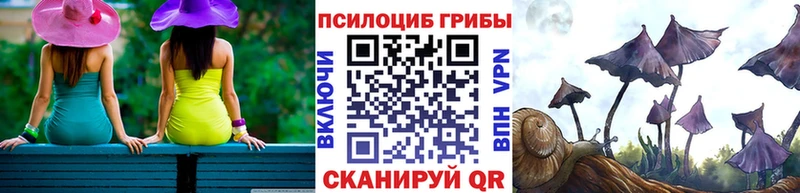 Галлюциногенные грибы мицелий  Фёдоровский 