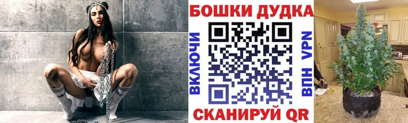 Канабис семена  Фёдоровский 
